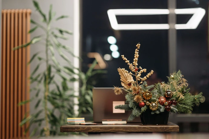 Live plants suitable for gifts in Nairobi Kenya